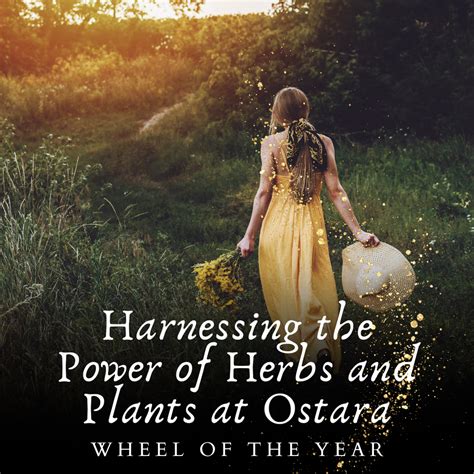 Embracing the Balance of Ostara: Honoring the Equinox with Yin and Yang Energy